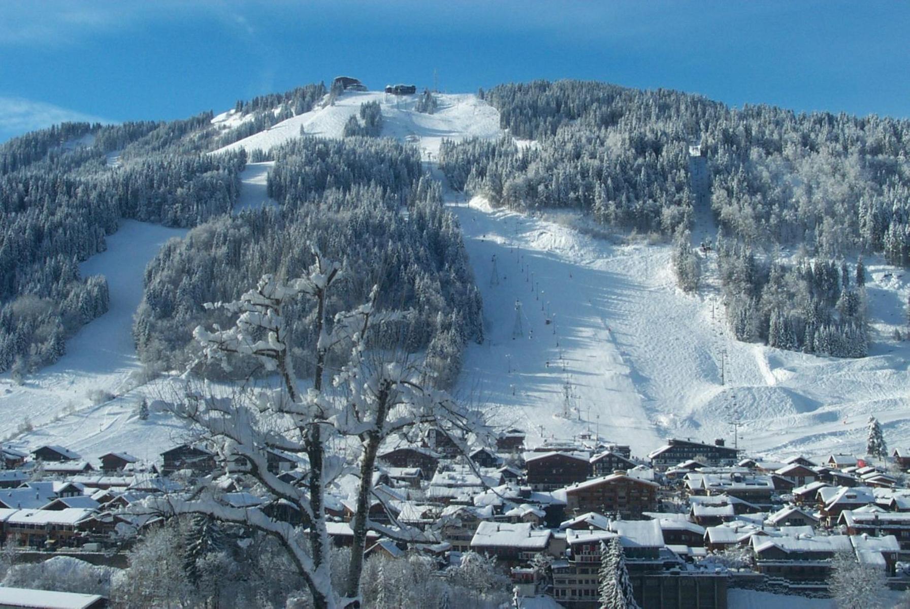 Le Dahu Hotel-chalet De Tradition Morzine