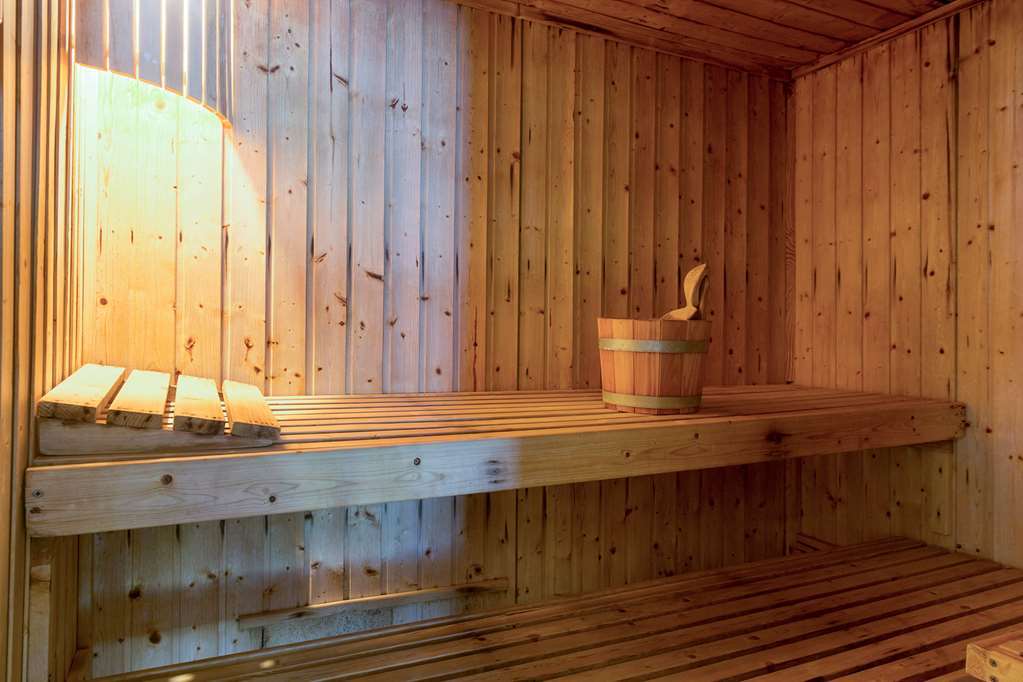 Le Dahu Hotel-chalet De Tradition Hotel Morzine