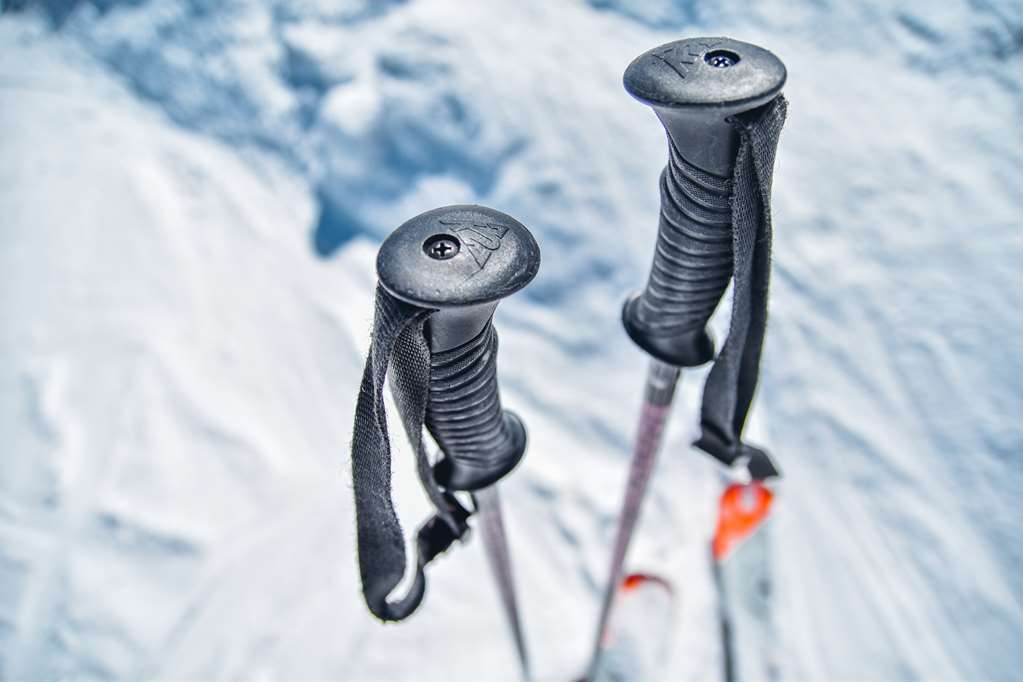 Hotel Le Dahu Hotel-chalet De Tradition Morzine
