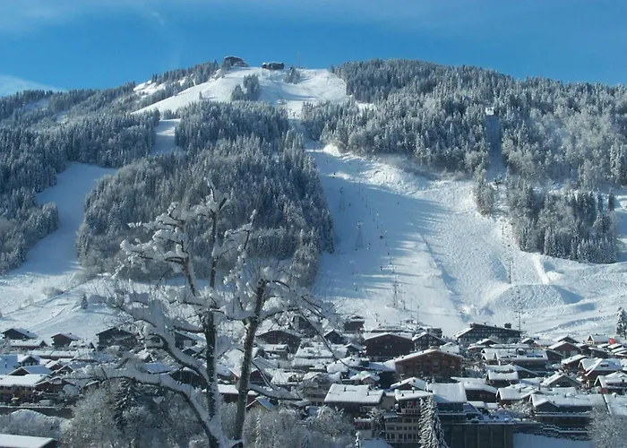 Hotel&Spa Le Dahu